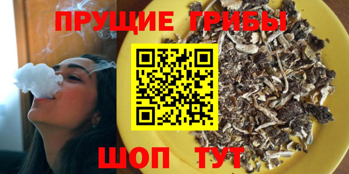 Псилоцибиновые грибы Magic Shrooms  Галлюциногенные грибы Cubensis  Вход с VPN  Тара 